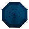 ALIXE-CENITAL-AZUL.jpg ALIXE