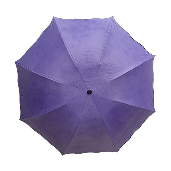 CORY-D-01-WEB CORY - D
