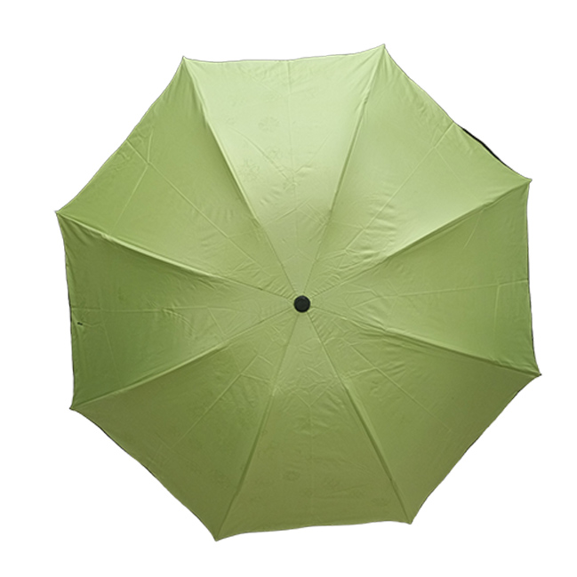 CORY-D-03-WEB CORY - D